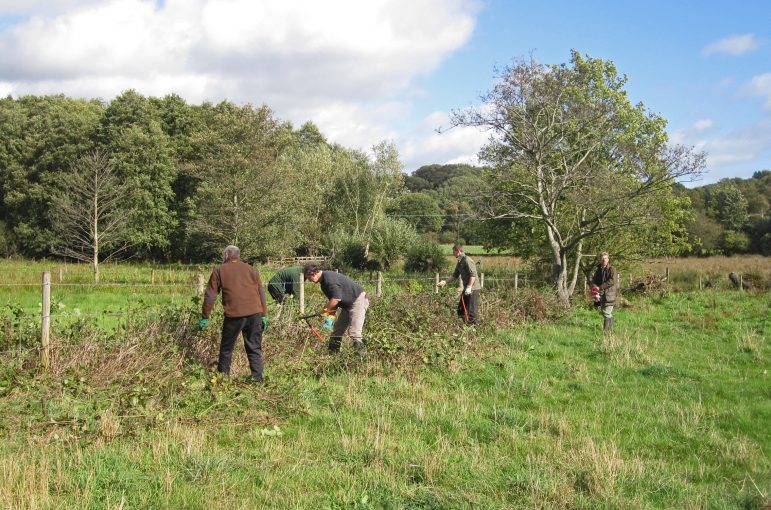 Volunteering roles available with the Worcestershire Wildlife Trust ...