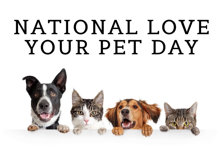 It's National Love Your Pet Day: How are you celebrating? - The Bromsgrove  Standard