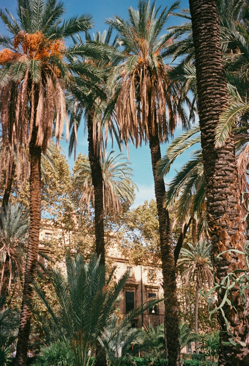 Travelling With Someone in Recovery: Practical Advice to Help You and Them